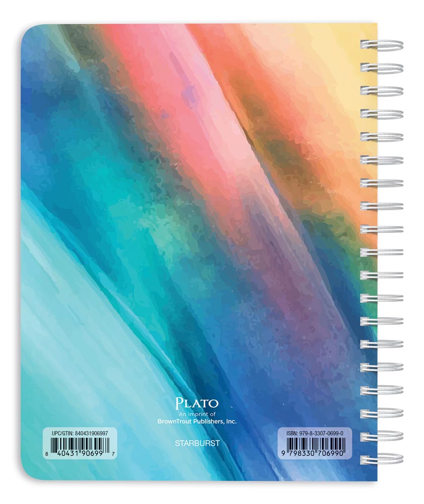 Starburst | 2026 6 x 7.75 Inch 18 Months Weekly Desk Planner | Foil Stamped Cover | July 2025 - December 2026
