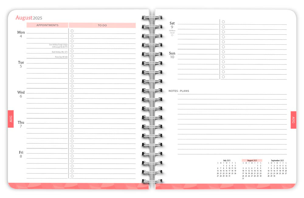 Starburst | 2026 6 x 7.75 Inch 18 Months Weekly Desk Planner | Foil Stamped Cover | July 2025 - December 2026