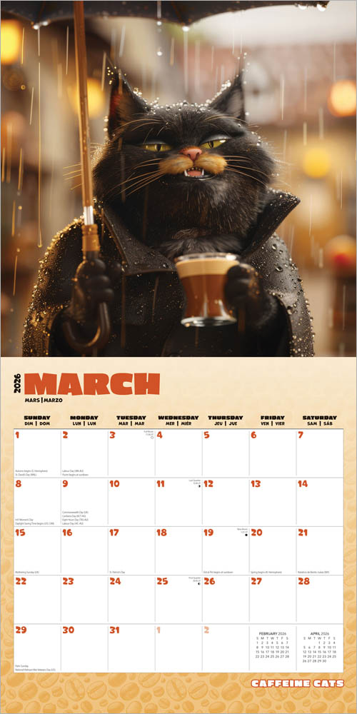 Caffeine Cats | 2026 12 x 24 Inch (Hanging) Monthly Square Wall Calendar