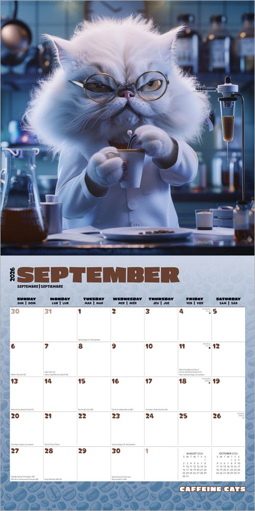 Caffeine Cats | 2026 12 x 24 Inch (Hanging) Monthly Square Wall Calendar