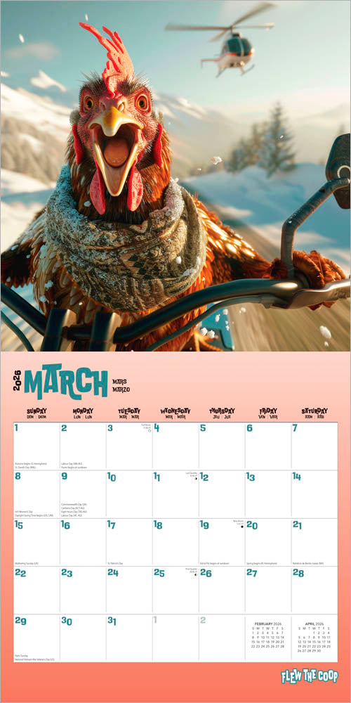Flew the Coop | 2026 12 x 24 Inch (Hanging) Monthly Square Wall Calendar