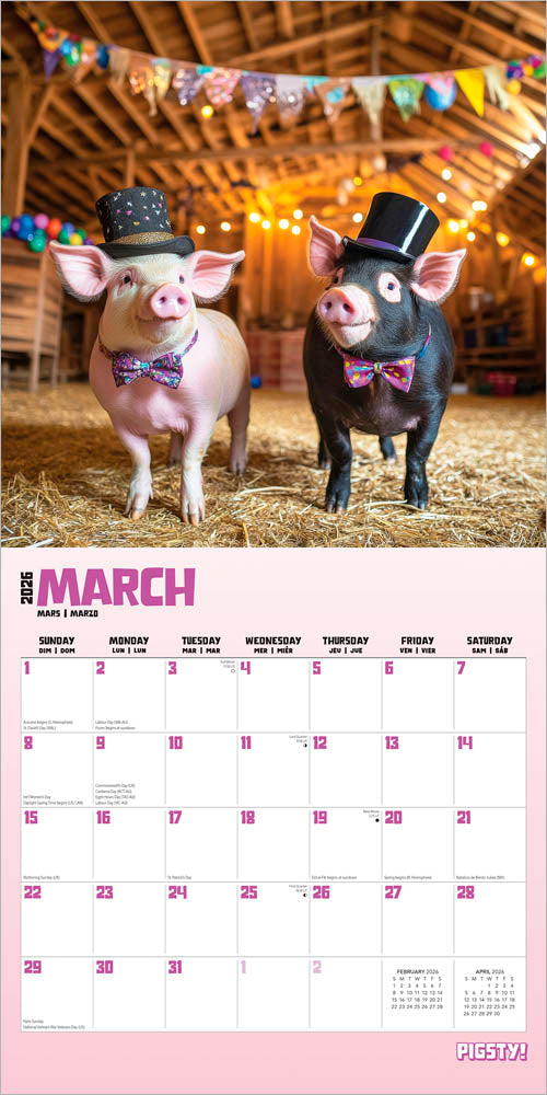 Pigsty | 2026 12 x 24 Inch (Hanging) Monthly Square Wall Calendar