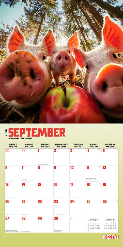 Pigsty | 2026 12 x 24 Inch (Hanging) Monthly Square Wall Calendar