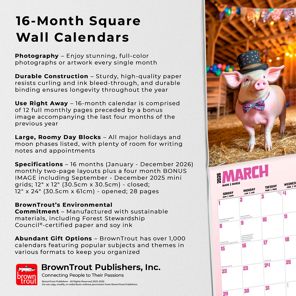 Pigsty | 2026 12 x 24 Inch (Hanging) Monthly Square Wall Calendar