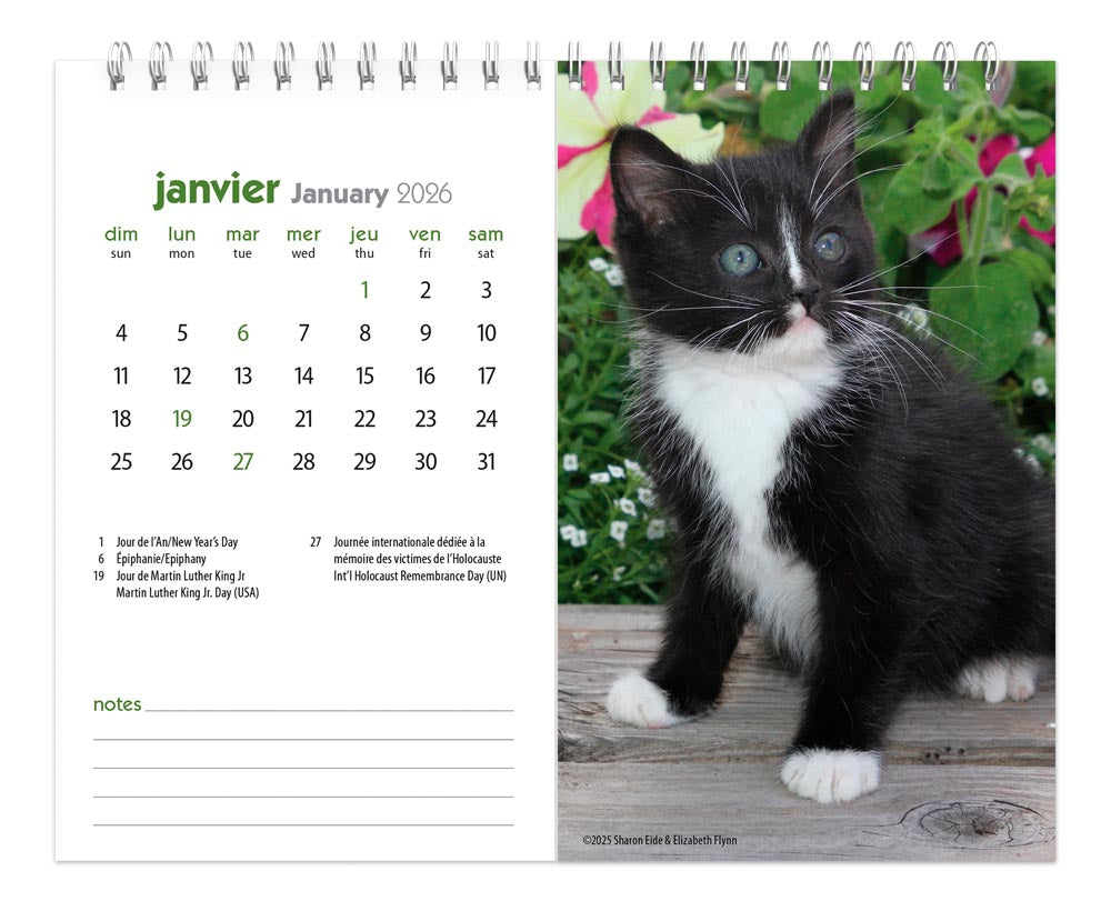 Chatons | 2026 7.5 x 6 Inch Monthly Double-View Easel Desk Calendar | French Language
