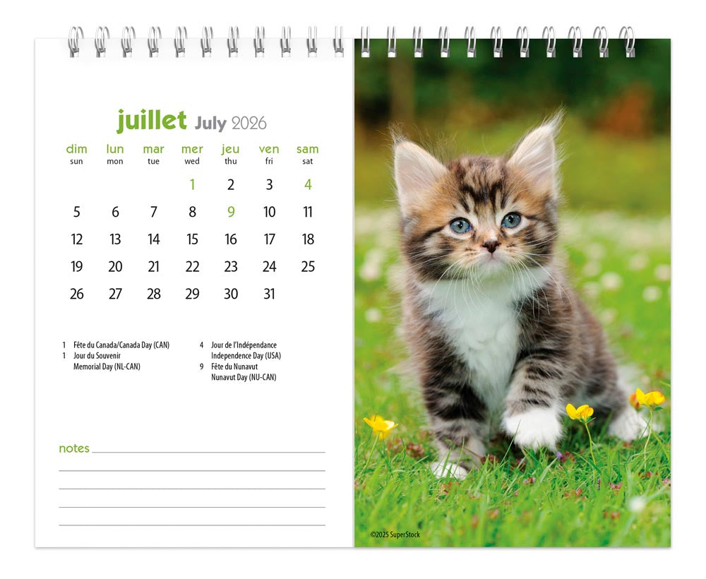 Chatons | 2026 7.5 x 6 Inch Monthly Double-View Easel Desk Calendar | French Language
