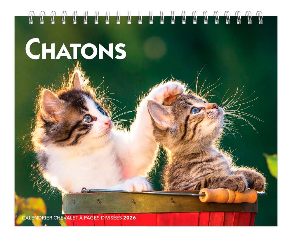 Chatons | 2026 7.5 x 6 Inch Monthly Double-View Easel Desk Calendar | French Language