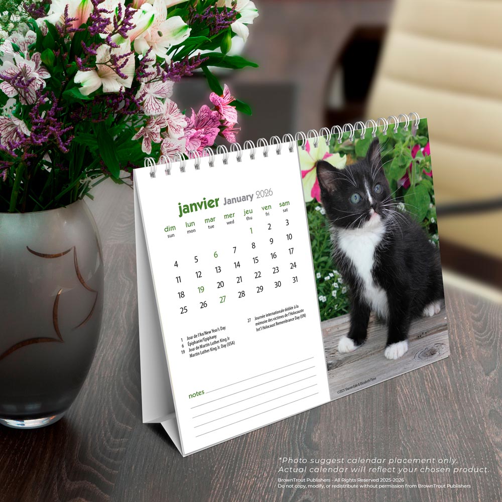 Chatons | 2026 7.5 x 6 Inch Monthly Double-View Easel Desk Calendar | French Language
