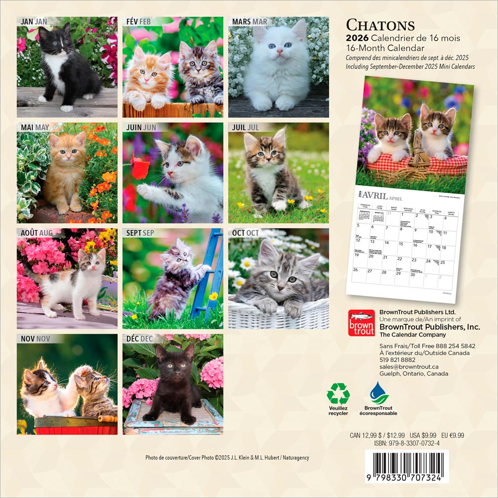 Chatons | 2026 7 x 14 Inch (Hanging) Monthly Mini Wall Calendar | French Language