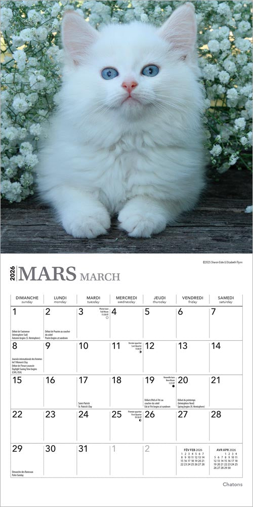 Chatons | 2026 7 x 14 Inch (Hanging) Monthly Mini Wall Calendar | French Language