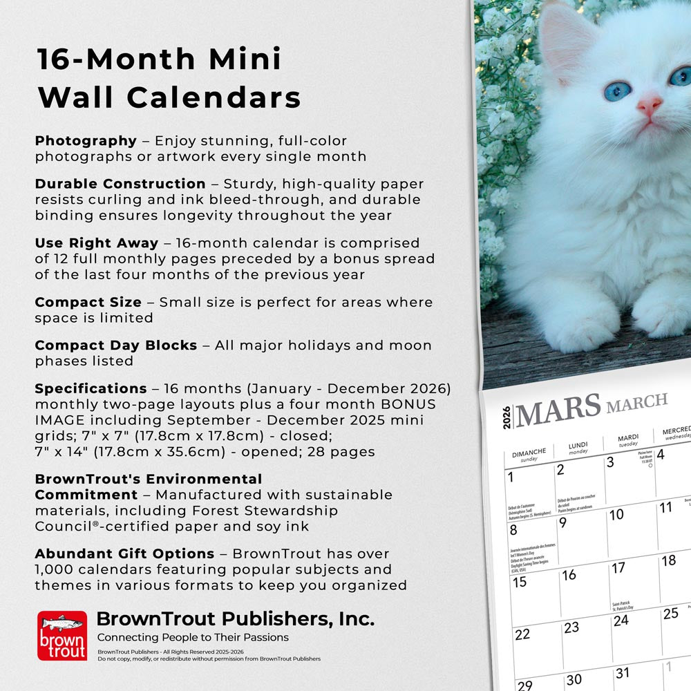 Chatons | 2026 7 x 14 Inch (Hanging) Monthly Mini Wall Calendar | French Language