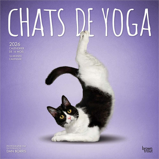 Chats de Yoga OFFICIEL | 2026 12 x 24 Inch (Hanging) Monthly Square Wall Calendar | French Language