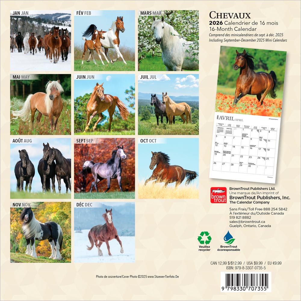 Chevaux | 2026 7 x 14 Inch (Hanging) Monthly Mini Wall Calendar | French Language