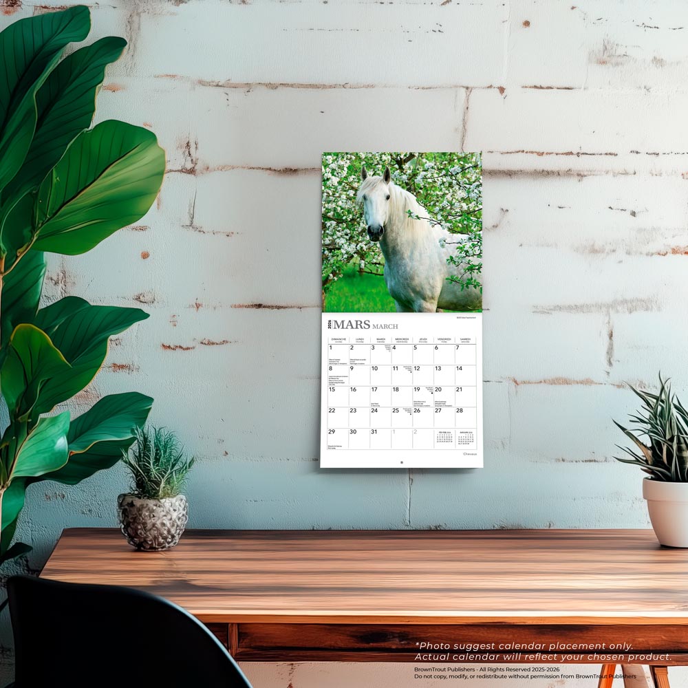 Chevaux | 2026 7 x 14 Inch (Hanging) Monthly Mini Wall Calendar | French Language