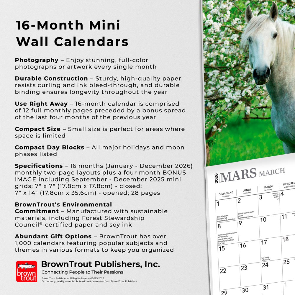 Chevaux | 2026 7 x 14 Inch (Hanging) Monthly Mini Wall Calendar | French Language