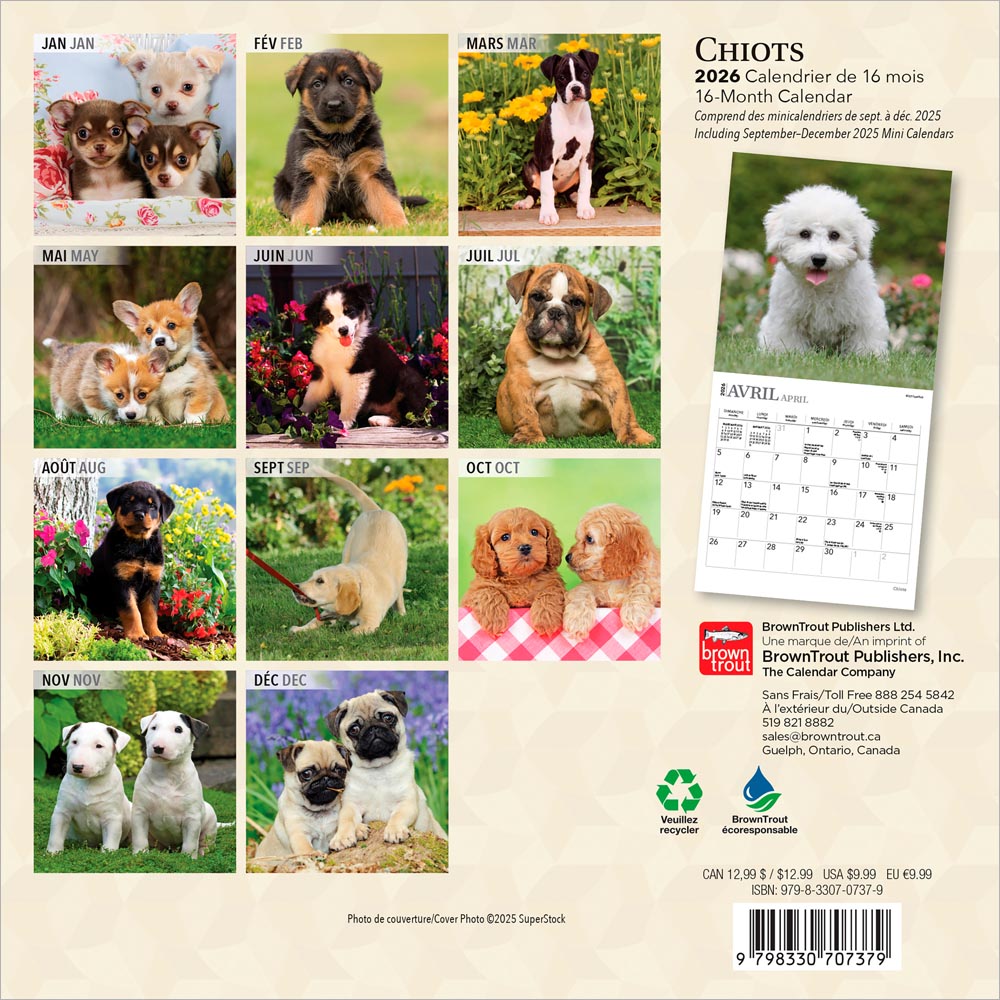 Chiots | 2026 7 x 14 Inch (Hanging) Monthly Mini Wall Calendar | French Language
