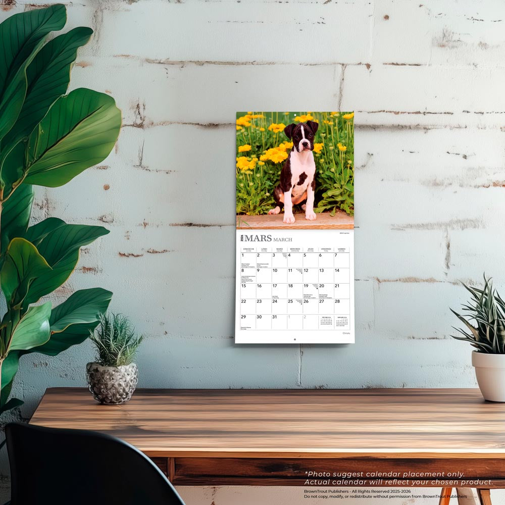 Chiots | 2026 7 x 14 Inch (Hanging) Monthly Mini Wall Calendar | French Language