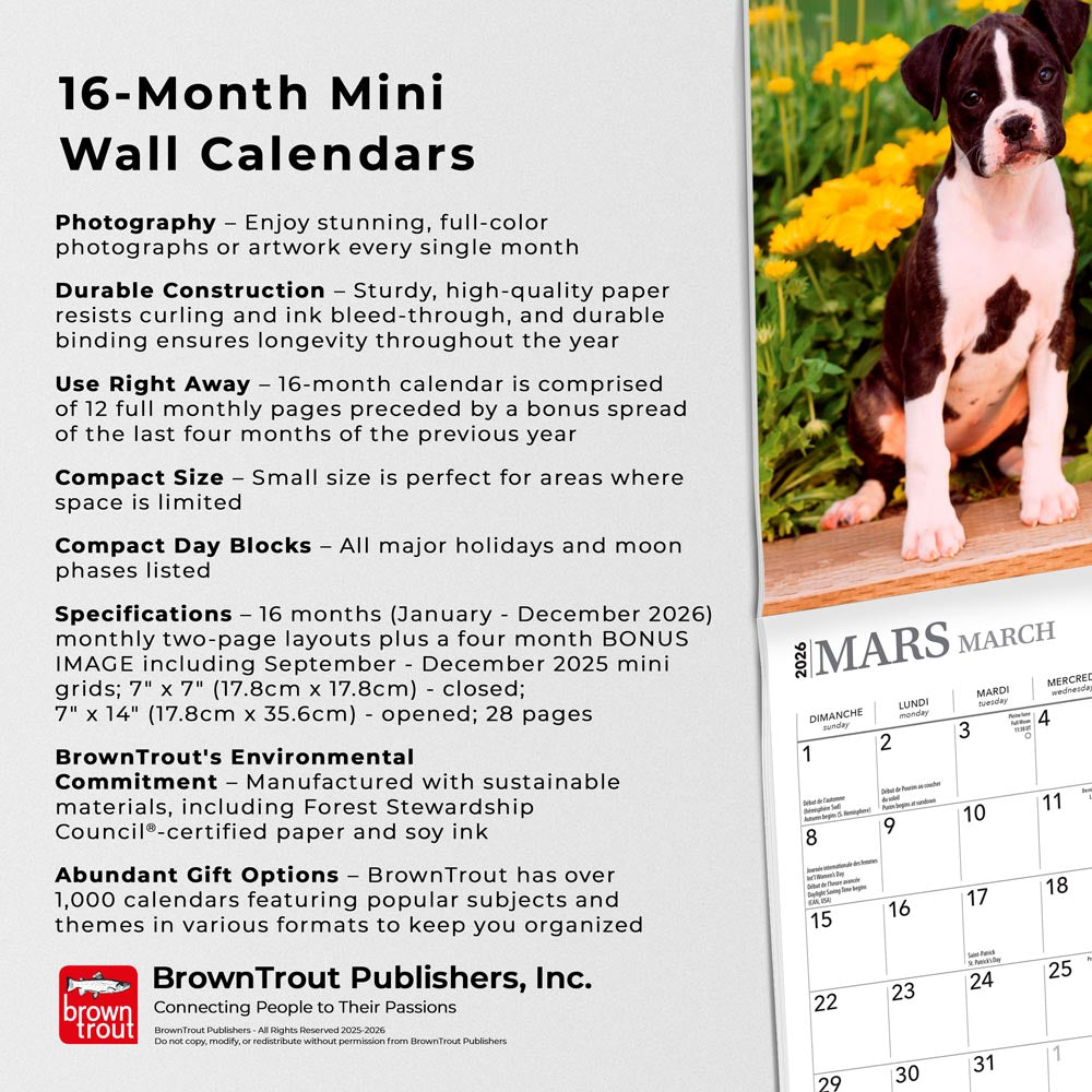 Chiots | 2026 7 x 14 Inch (Hanging) Monthly Mini Wall Calendar | French Language