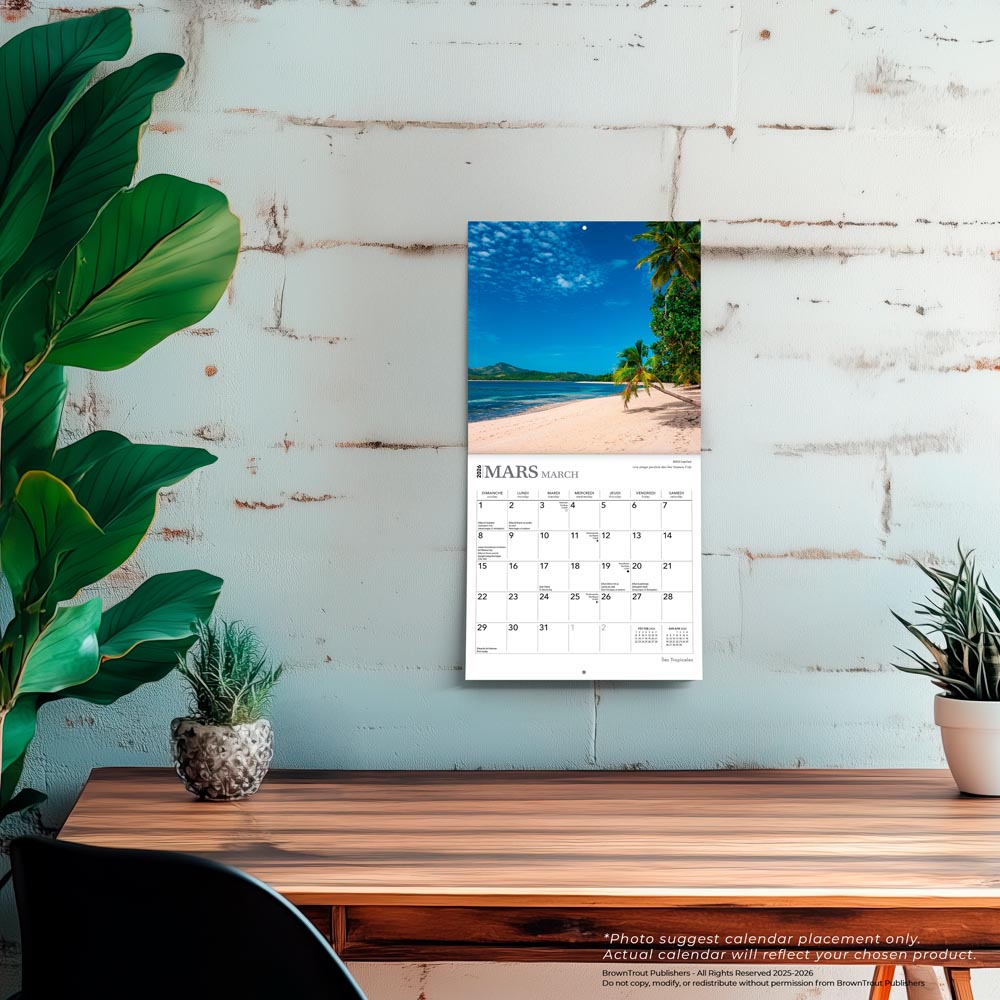 Îles Tropicales | 2026 7 x 14 Inch (Hanging) Monthly Mini Wall Calendar | French Language