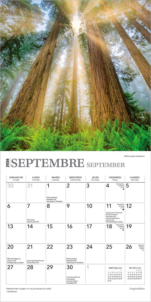 Inspiration | 2026 7 x 14 Inch (Hanging) Monthly Mini Wall Calendar | French Language