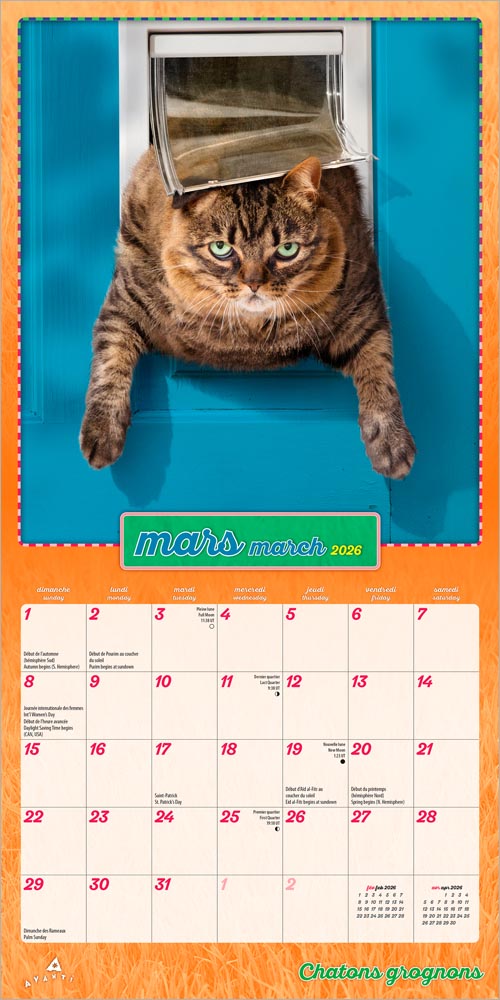 Avanti Chatons Grognons OFFICIEL | 2026 7 x 14 Inch (Hanging) Monthly Mini Wall Calendar