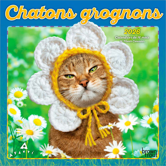 Avanti Chatons Grognons OFFICIEL | 2026 7 x 14 Inch (Hanging) Monthly Mini Wall Calendar