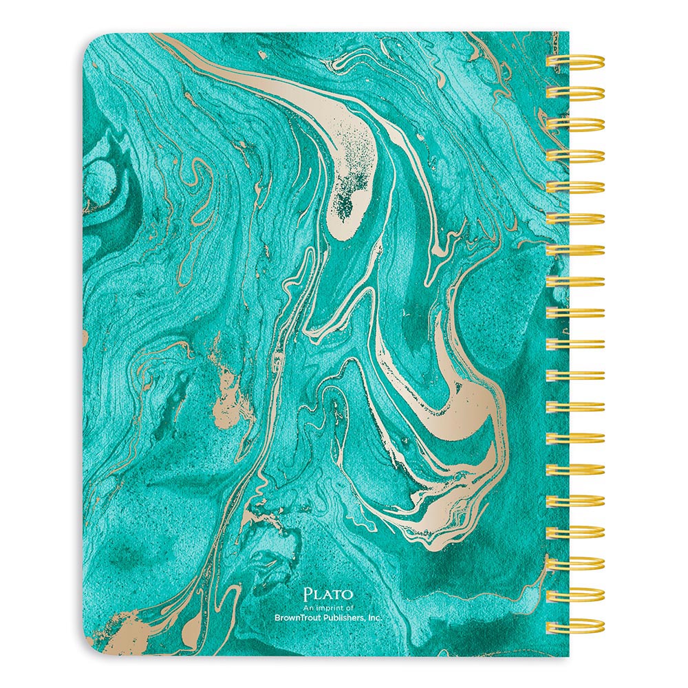 Crackled Blush | 2027 6 x 7.75 Inch 18 Months Weekly Desk Planner | Foil Stamped Cover | July 2026 - December 2027