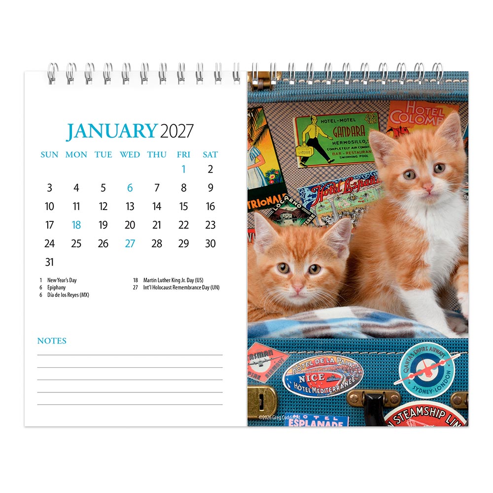 Kittens | 2027 7.5 x 6 Inch Monthly Double-View Easel Desk Calendar