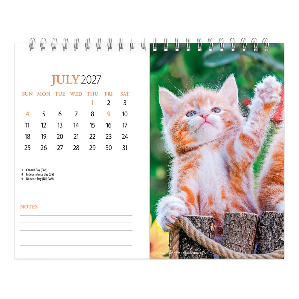Kittens | 2027 7.5 x 6 Inch Monthly Double-View Easel Desk Calendar