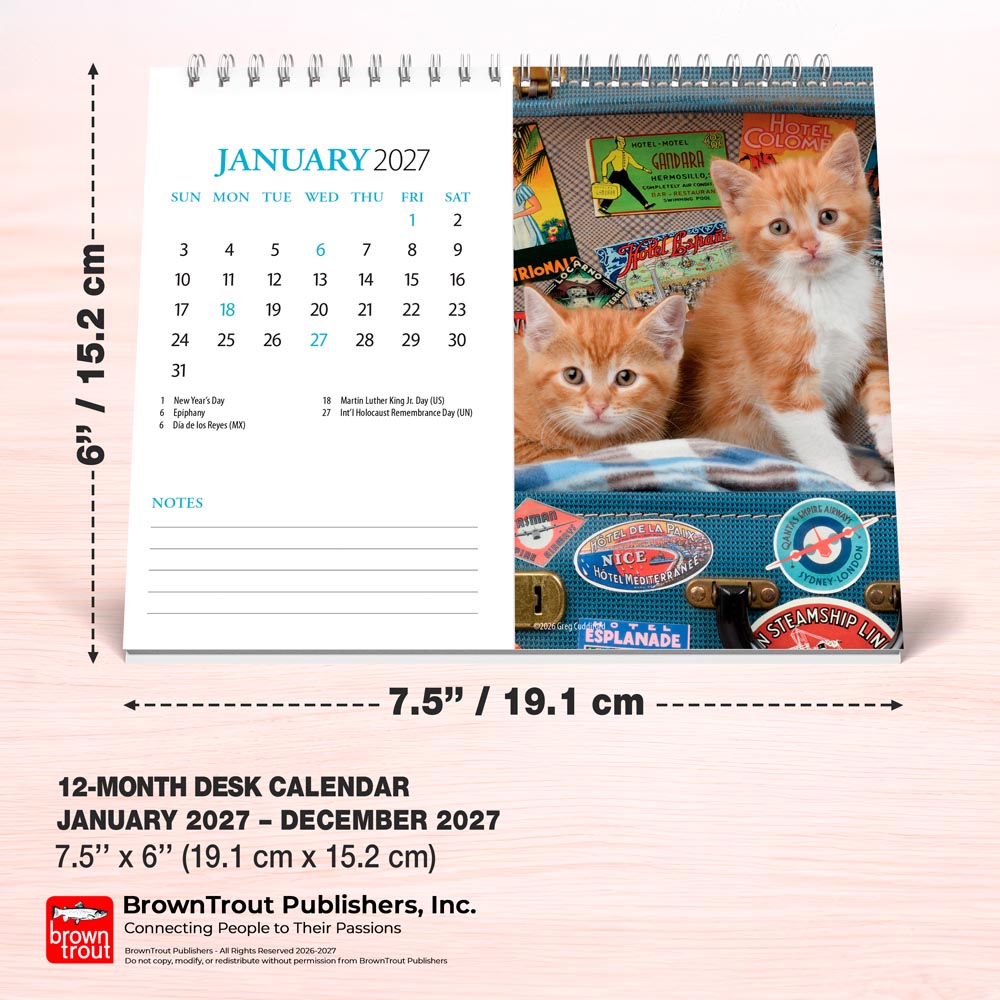 Kittens | 2027 7.5 x 6 Inch Monthly Double-View Easel Desk Calendar