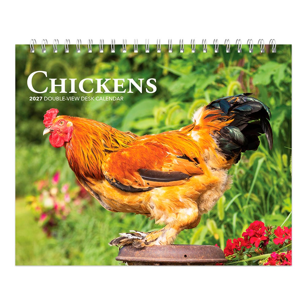 Chickens | 2027 7.5 x 6 Inch Monthly Double-View Easel Desk Calendar