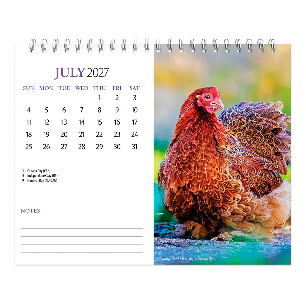 Chickens | 2027 7.5 x 6 Inch Monthly Double-View Easel Desk Calendar