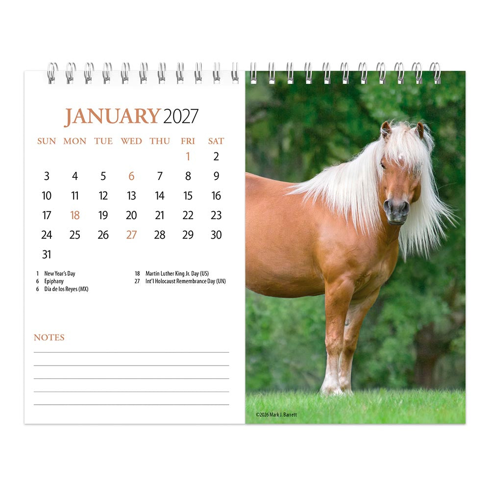 Horse Lovers | 2027 7.5 x 6 Inch Monthly Double-View Easel Desk Calendar