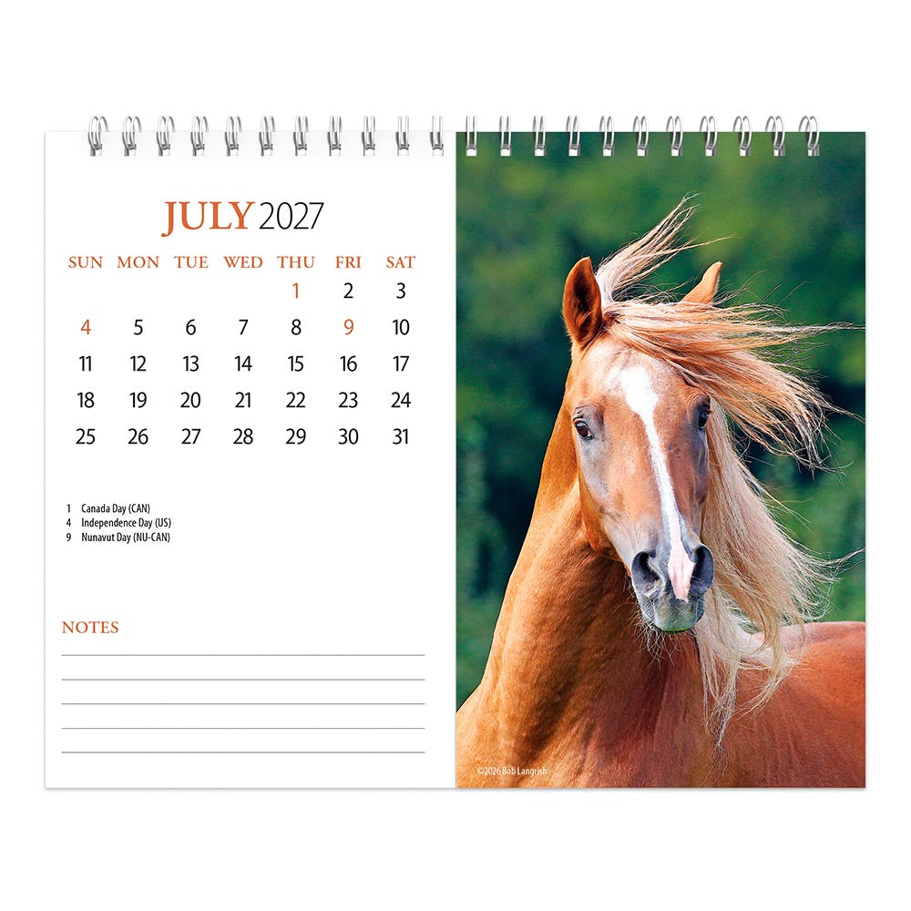Horse Lovers | 2027 7.5 x 6 Inch Monthly Double-View Easel Desk Calendar