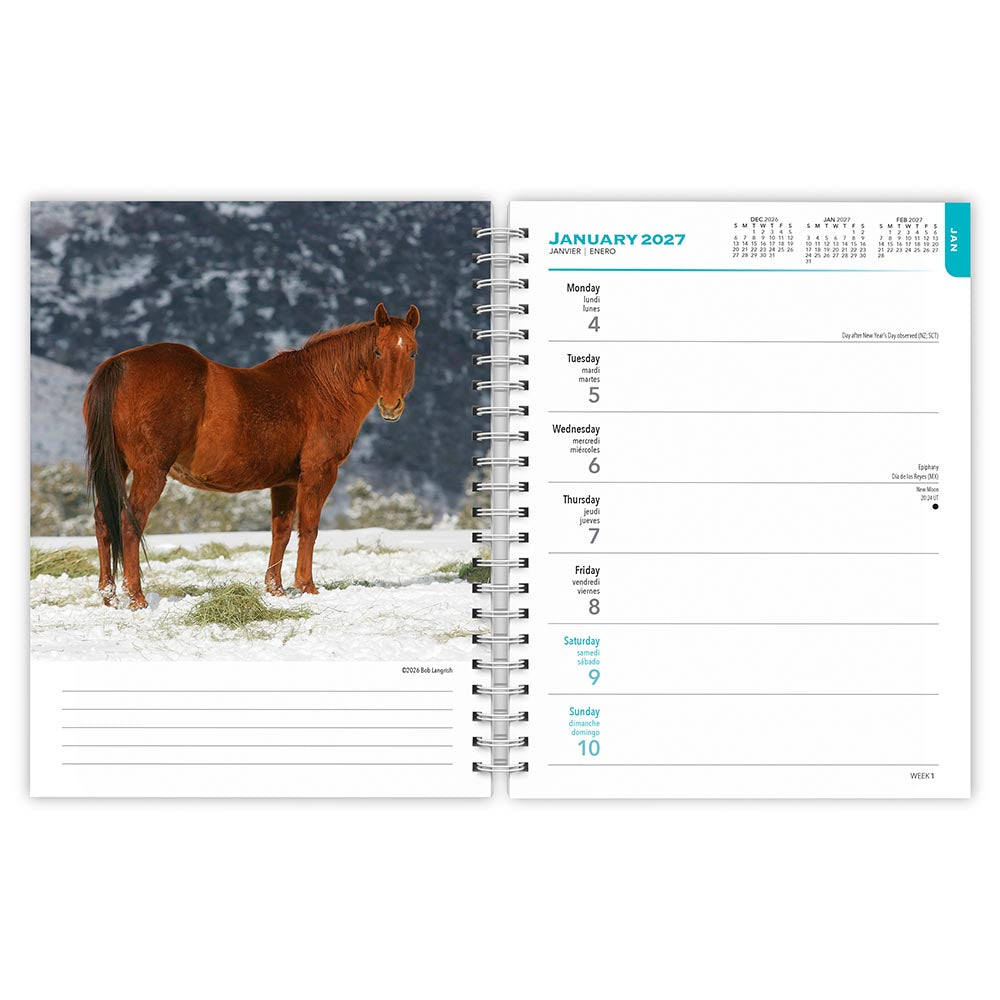Horse Lovers | 2027 6 x 7.75 Inch Spiral-Bound Wire-O Weekly Engagement Planner Calendar | New Full-Color Image Every Week