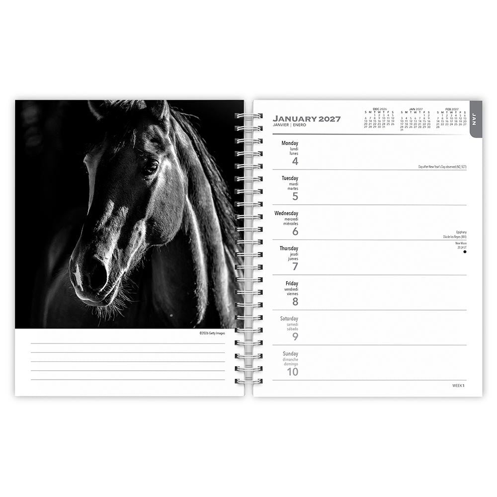 The BrownTrout Portrait Series: The Noble Horse | 2027 6 x 7.75 Inch Spiral-Bound Wire-O Weekly Engagement Planner Calendar | New Image Every Week
