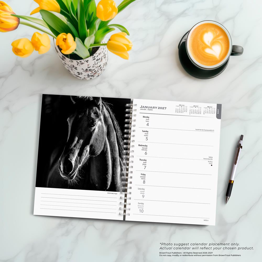 The BrownTrout Portrait Series: The Noble Horse | 2027 6 x 7.75 Inch Spiral-Bound Wire-O Weekly Engagement Planner Calendar | New Image Every Week