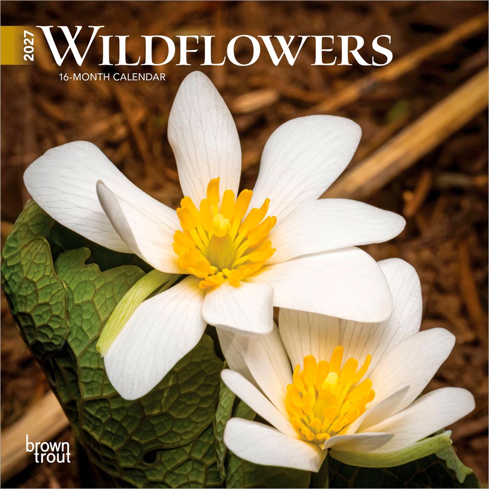 Wildflowers | 2027 7 x 14 Inch (Hanging) Monthly Mini Wall Calendar