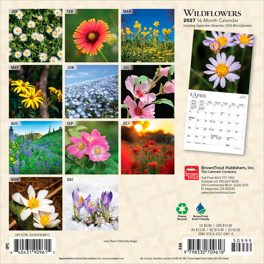 Wildflowers | 2027 7 x 14 Inch (Hanging) Monthly Mini Wall Calendar