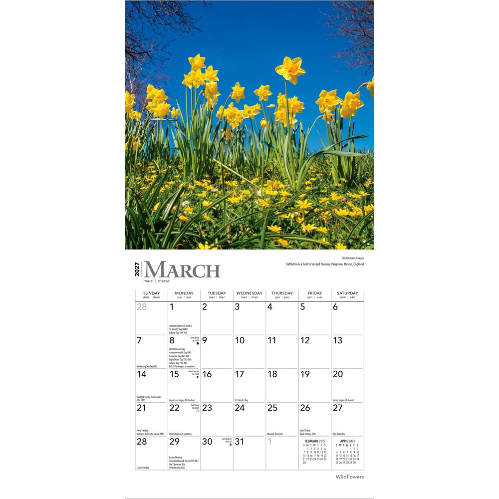 Wildflowers | 2027 7 x 14 Inch (Hanging) Monthly Mini Wall Calendar