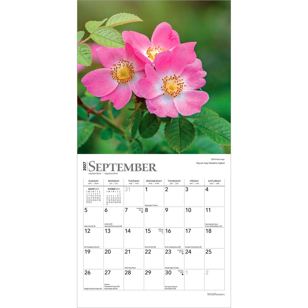 Wildflowers | 2027 7 x 14 Inch (Hanging) Monthly Mini Wall Calendar