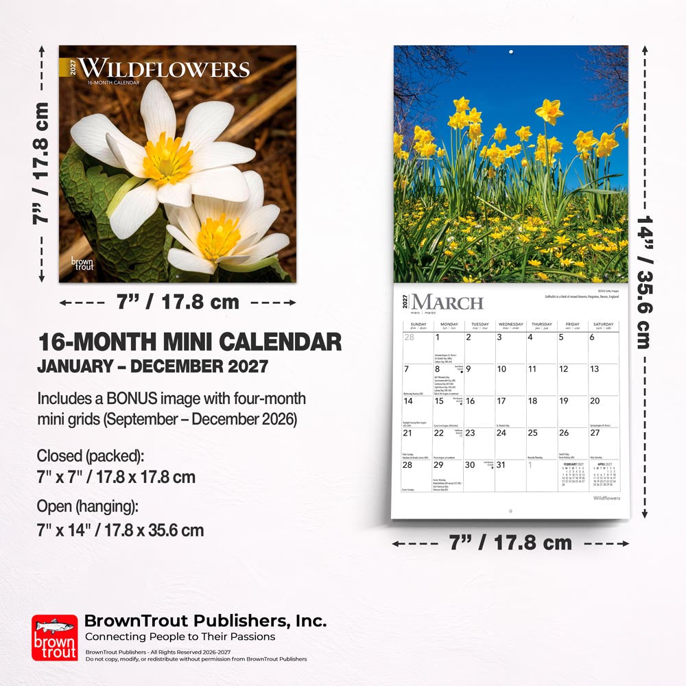 Wildflowers | 2027 7 x 14 Inch (Hanging) Monthly Mini Wall Calendar