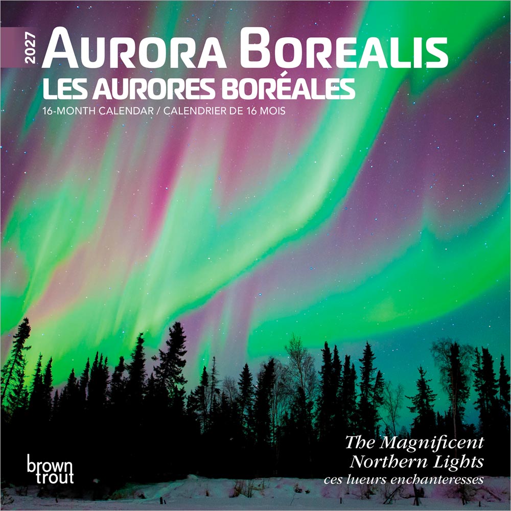 Aurora Borealis | 2027 7 x 14 Inch (Hanging) Monthly Mini Wall Calendar | English/French Bilingual