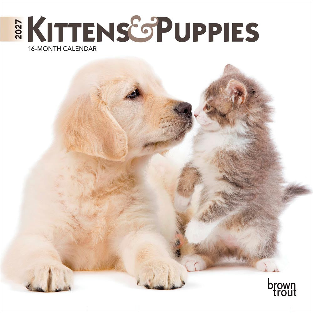 Kittens & Puppies | 2027 7 x 14 Inch (Hanging) Monthly Mini Wall Calendar