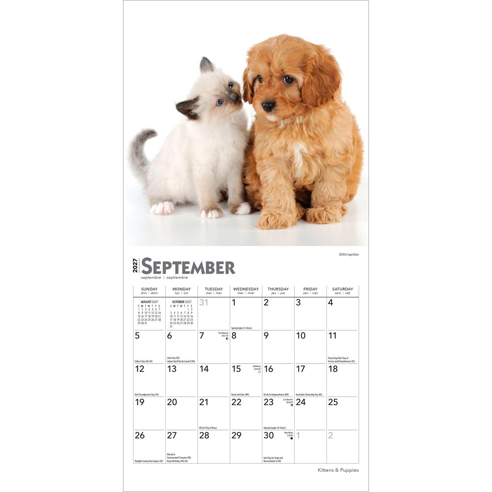 Kittens & Puppies | 2027 7 x 14 Inch (Hanging) Monthly Mini Wall Calendar