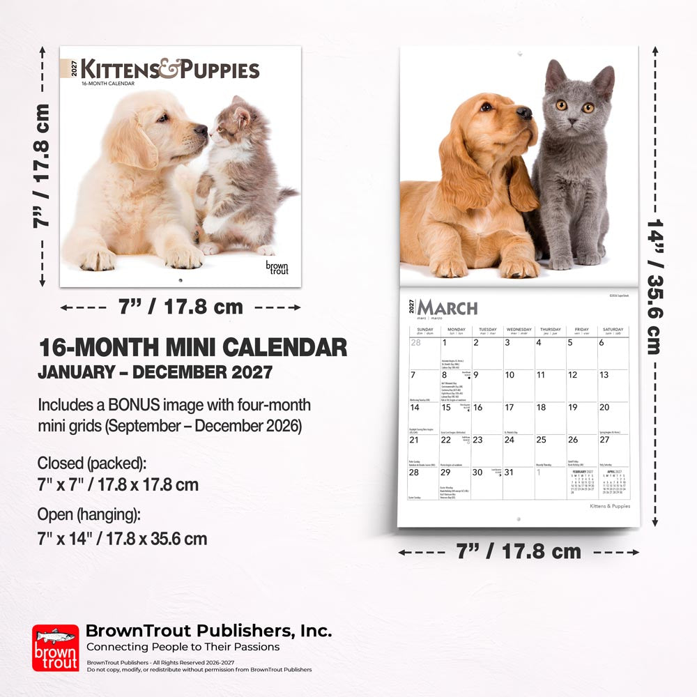 Kittens & Puppies | 2027 7 x 14 Inch (Hanging) Monthly Mini Wall Calendar