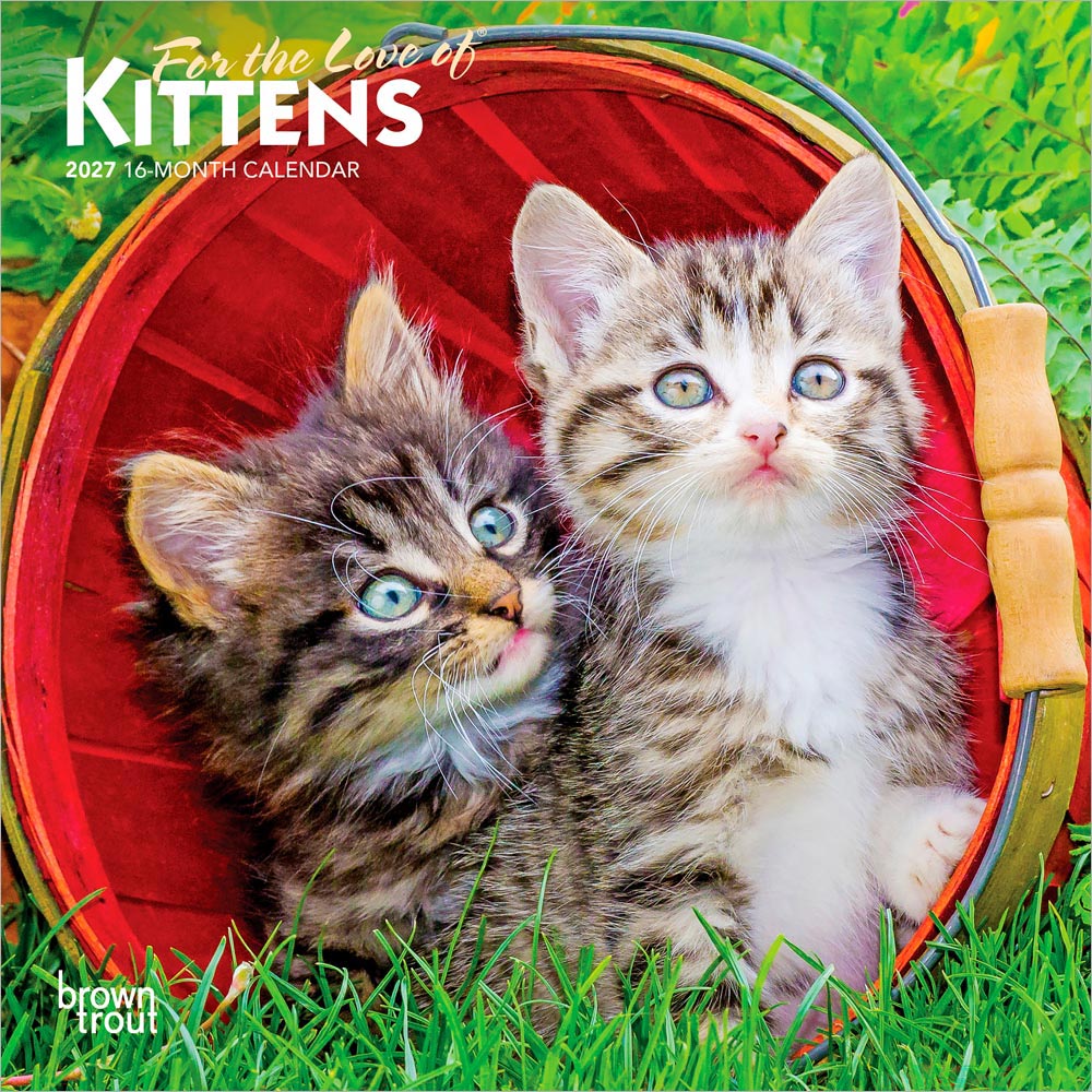 For the Love of Kittens | 2027 7 x 14 Inch (Hanging) Monthly Mini Wall Calendar