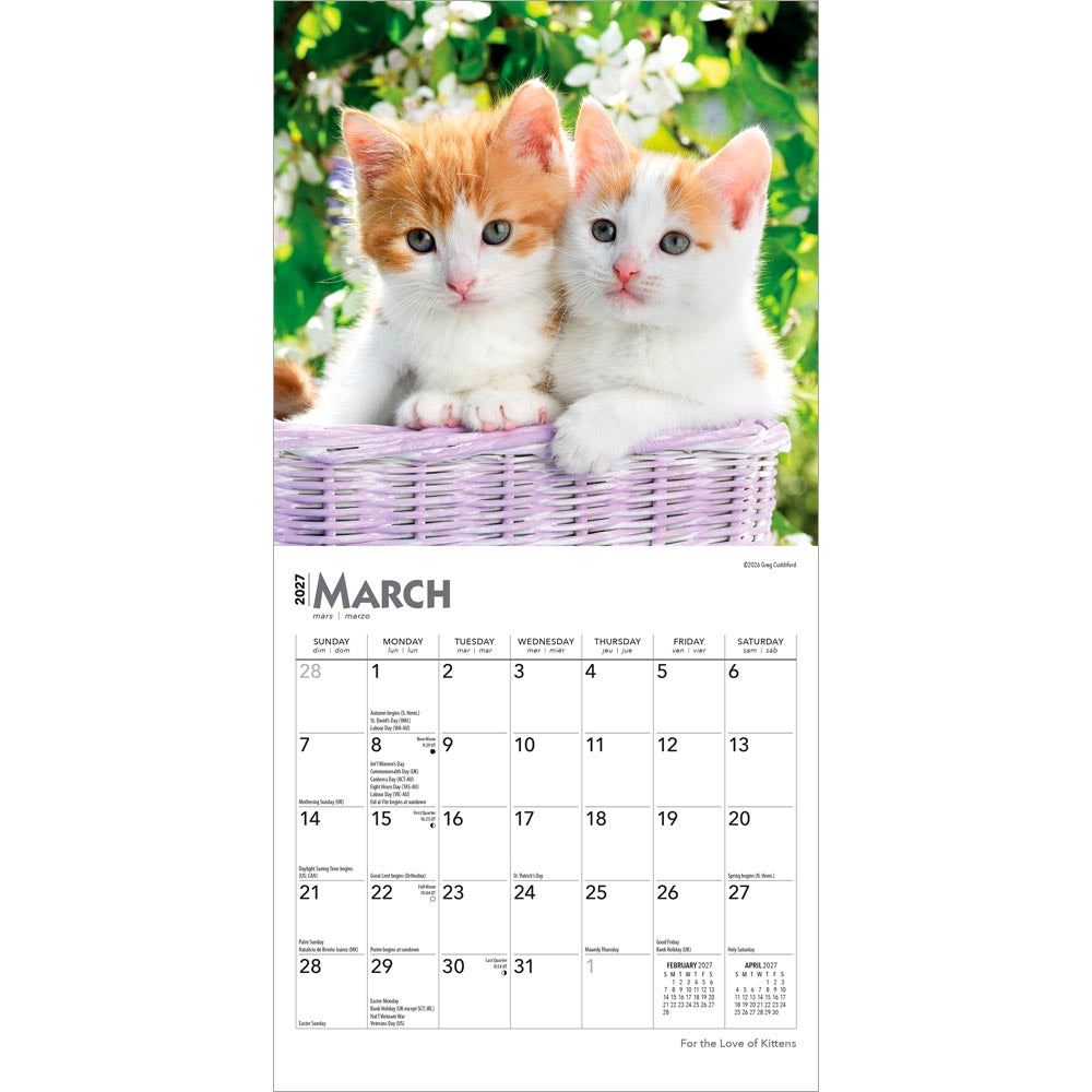 For the Love of Kittens | 2027 7 x 14 Inch (Hanging) Monthly Mini Wall Calendar