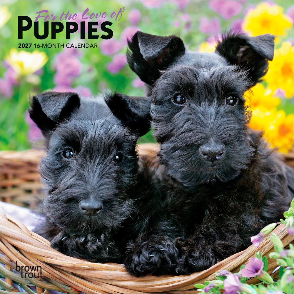 For the Love of Puppies | 2027 7 x 14 Inch (Hanging) Monthly Mini Wall Calendar