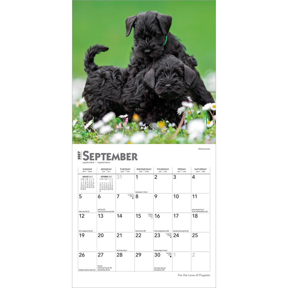 For the Love of Puppies | 2027 7 x 14 Inch (Hanging) Monthly Mini Wall Calendar